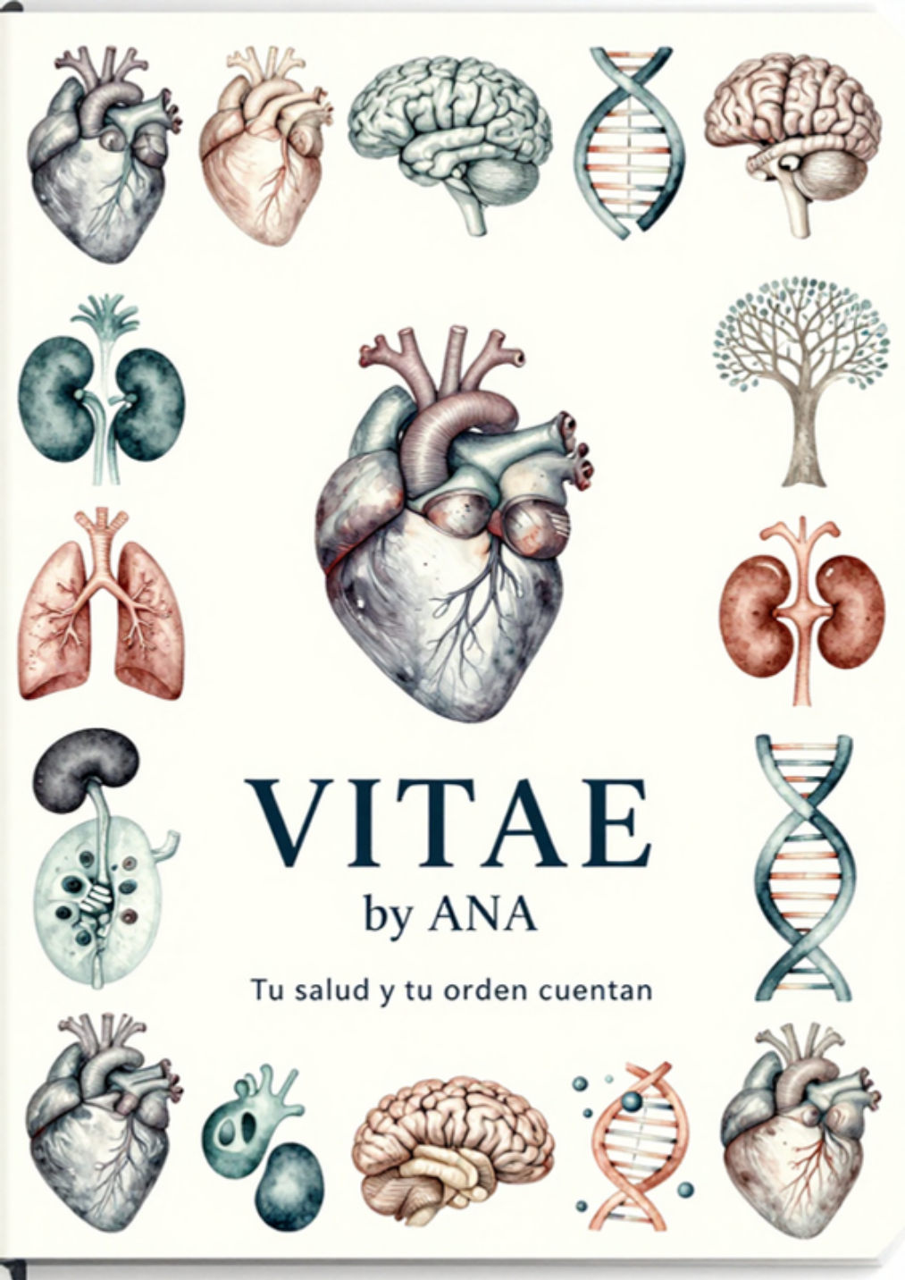 Anatomía